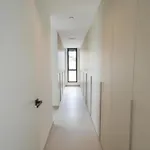Infinita קלפה